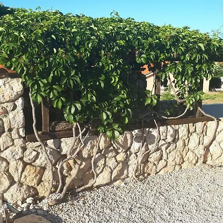 Apartment Vila Filipasic Vir