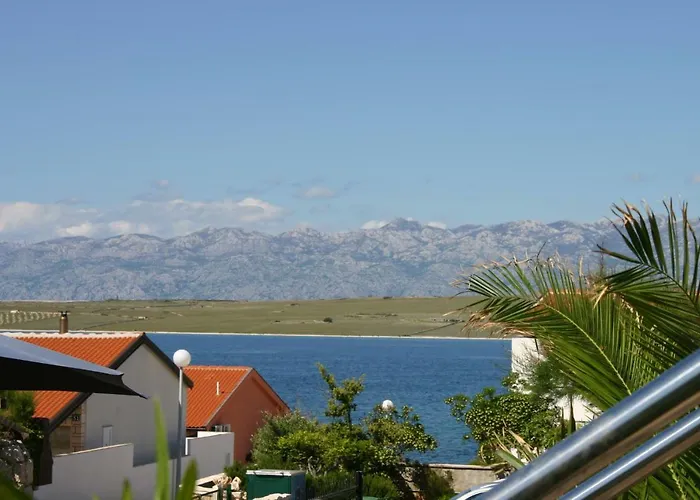 Apartman Vila Filipasic *