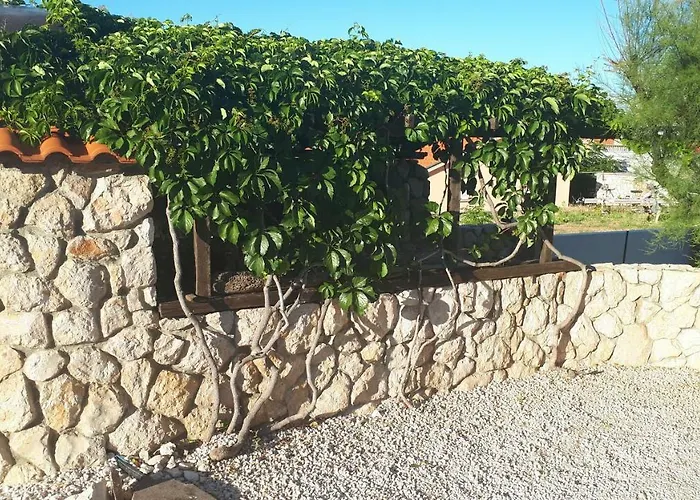 Apartman Vila Filipasic Vir